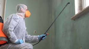 Best Mold Remediation for Healthcare Facilities  in Como, MS